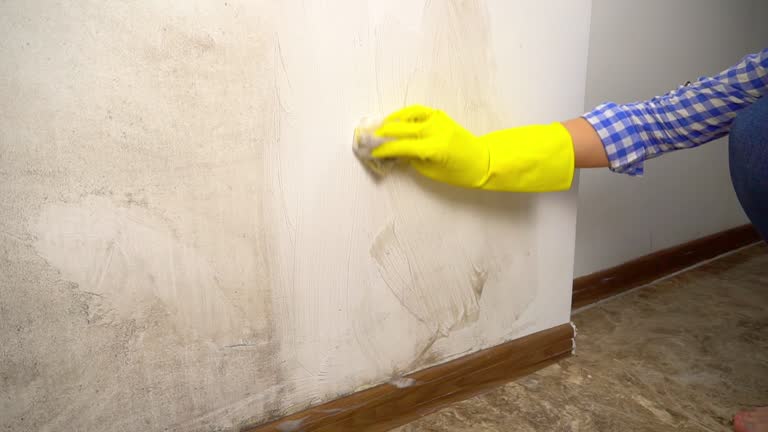 Best Mold Prevention Services  in Penbrook, PA