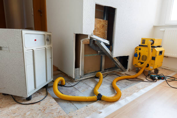 Best Mold Damage Restoration  in Penbrook, PA